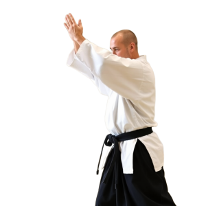 Катана натуральный 3